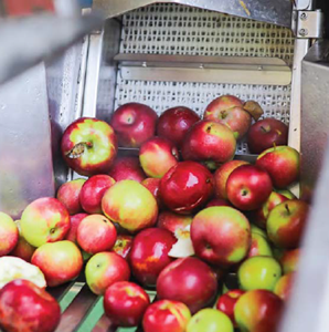 持续、合作、创新 — 杜兰郡引领新农业