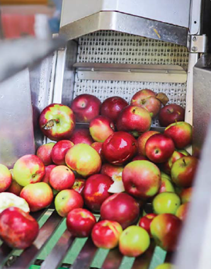 持续、合作、创新 — 杜兰郡引领新农业