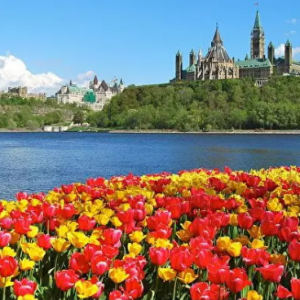 世界第一,再次碾压美国!加拿大人又要傲娇了