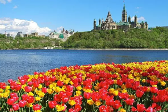 世界第一,再次碾压美国!加拿大人又要傲娇了