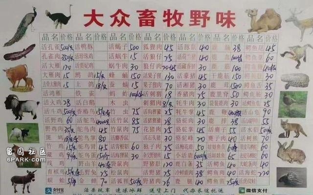 多伦多首例病毒感染确诊后 “仇华”情绪开始蔓延