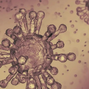 【加国疫情通报】加拿大又新增13例新冠肺炎病例,致使确诊病例总数增至77例