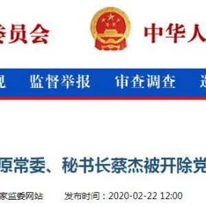 武汉市委原常委、秘书长蔡杰被开除党籍和公职并移送司法机关依法处理