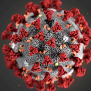 中国科学家:新冠病毒已演化出L和S两个亚型 具有不同传播力和毒力