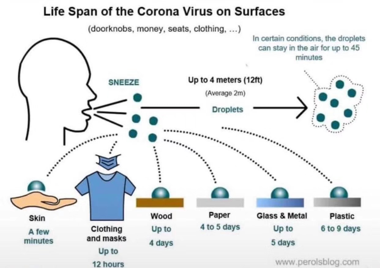 去超市,收包裹,携带病毒怎么办?戴口罩,勤洗手,自我防疫6步骤