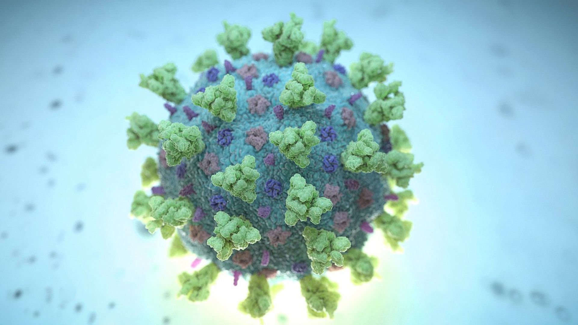 科学家发现病毒最危险毒株 主要分布在这些国家
