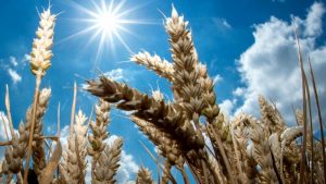 为什么特朗普说疫情会奇迹般的消失 美政府公布称太阳光可杀冠状病毒