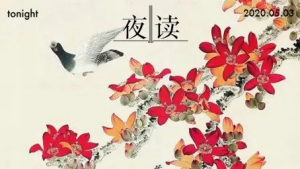 【夜读】 那些不发朋友圈的人过得怎样了