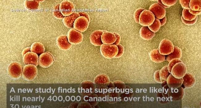 超级细菌即将席卷加拿大 无药可治 40万人将等死