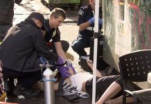 加拿大检察院最新指令:拥有非法毒品不予起诉