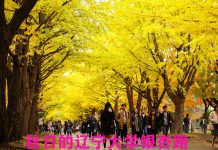 辽宁大学北美校友会理事会选出新一届理事会