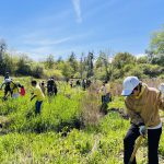 “种下绿林,树立友爱” – 多伦多贵州同乡会植树活动