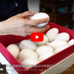 蛋雕—非物质文化遗产系列产品介绍之一