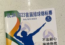 圆满落幕!CLSA首届排球赛精彩收官:62支球队逐鹿赛场!