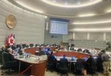 万锦市政府通过每年二月定为中华文化月 (Chinese Heritage Month) 的倡议