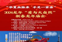 精彩纷呈!多伦多龙年庙会吸引大批市民观赏中国民间艺术表演品尝中华美食