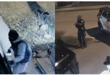 多伦多警察局长:去年12000多辆汽车被盗 平均每40分钟一辆