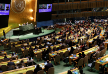 加拿大华人妇女出席第68届联合国妇女大会—智能技术时代中性别平等推动女性创造力和平等机会