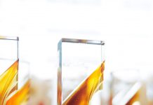 汾酒闪耀2024加拿大餐饮协会年度晚宴,荣获“最佳酒类供应商”大奖