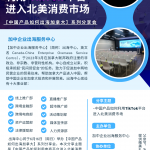 中国产品如何利用TikTok 平台进入北美消费市场