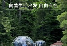 Camp Adelaide:团建、家庭聚会和生日派对的理想之选