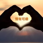 《 情有可缘—交友相亲》