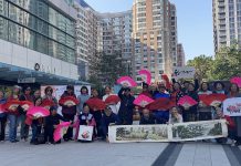 重阳节长者户外活动欢庆感恩生活