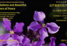 《庄严美丽的和平之花》:传承历史记忆 守护和平理念–加拿大和枫会举办论坛纪念12.13南京大屠杀遇难者87周年