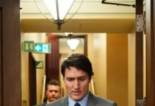 突发!加拿大总理杜鲁多辞去自由党领袖职务,预计将于周一宣布辞职