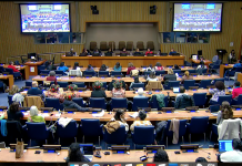 加拿大华人妇女出席联合国第69届妇女大会 暨纪念《北京宣言》和《行动计划》30周年