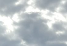 雁归我喜乐,雁离人未眠