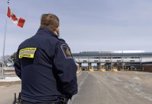 加美关系持续降温,3月份加拿大赴美游客减少近90万人