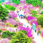 今日青岛(4月8日)