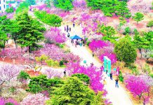 今日青岛(4月8日)