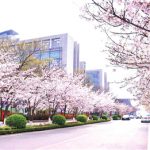 今日青岛(4月14日)