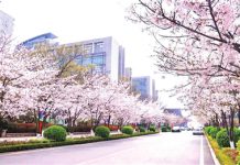 今日青岛(4月14日)