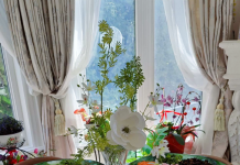 一个难以忘怀的母亲节