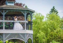 当古老的橡树和心形湖见证的爱情-多伦多OAKVIEW TERRACE皇家庄园