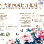 春风百里,芳华再现——第四届加拿大牡丹花展新闻发布会圆满举行