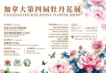春风百里,芳华再现——第四届加拿大牡丹花展新闻发布会圆满举行