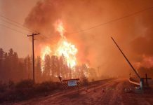 多伦多晴天不晴,加拿大的烟雾把美国的天都熏黑了