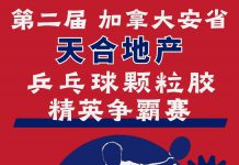 第二届加拿大安省“天合地产”乒乓球颗粒胶精英争霸赛