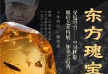 “穿越时空,中国抚顺非遗琥珀艺术特展”加拿大首秀 8月29日大多伦多文化中心隆重开幕